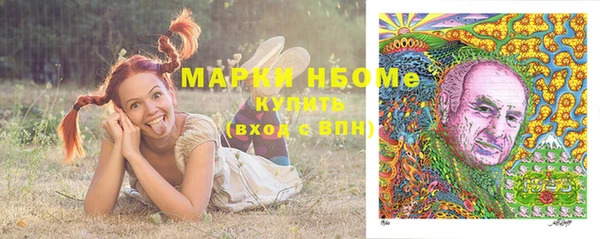 трава Аркадак